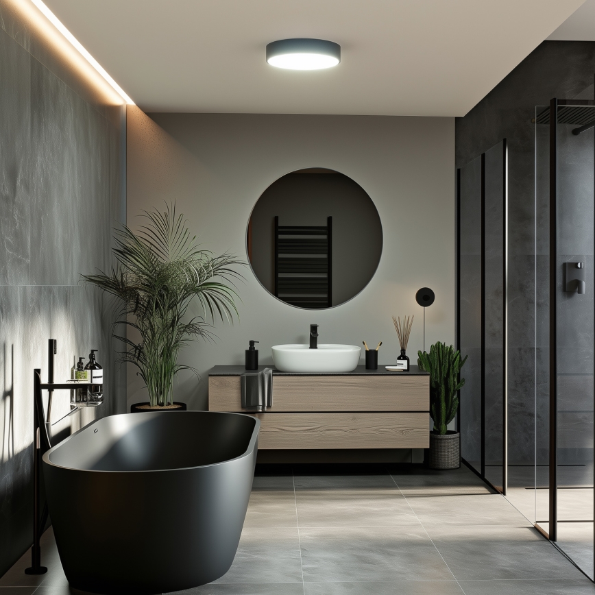 Brilagi - LED-Badezimmer-Deckenleuchte POOL LED/24W/230V 3000/4000/5500K Ø 30 cm IP54 schwarz