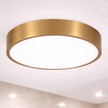 Brilagi - LED-Badezimmer-Deckenleuchte POOL LED/36W/230V 3000/4000/5500K Ø 40 cm IP54 Bronze
