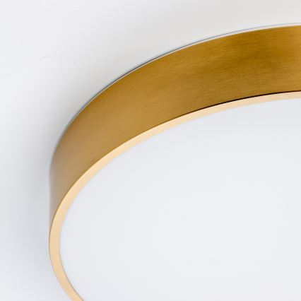 Brilagi - LED-Badezimmer-Deckenleuchte POOL LED/36W/230V 3000/4000/5500K Ø 40 cm IP54 Bronze