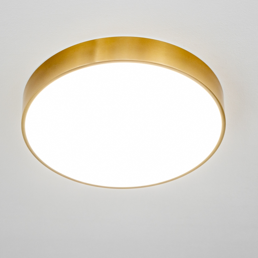 BRILAGI - LED Badezimmer-Deckenleuchte POOL LED/36W/230V 3000/4000/5500K Ø 40 cm IP54 goldfarben