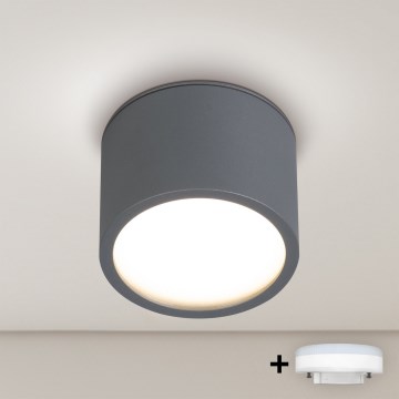 BRILAGI - LED Badezimmer-Spot SMOOTH 1xGX53/15W/230V 60x82 mm Anthrazit IP54