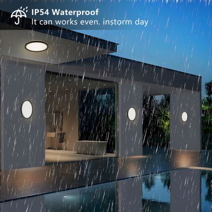 Brilagi - LED-Deckenleuchte für Badezimmer ULTRA SLIM LED/12W/230V d 22,5 cm schwarz IP54