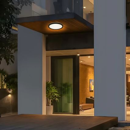 Brilagi - LED-Deckenleuchte für Badezimmer ULTRA SLIM LED/12W/230V d 22,5 cm schwarz IP54