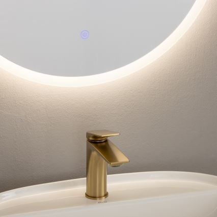 Brilagi - LED-Badezimmerspiegel BERNATE LED/19W/230V Ø 60 cm silber IP44 CRI 90 dimmbar + CCT