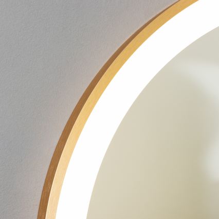 Brilagi - LED Badezimmerspiegel ERBA LED/25W/230V 50x80 cm gold IP44 CRI 90 dimmbar + CCT