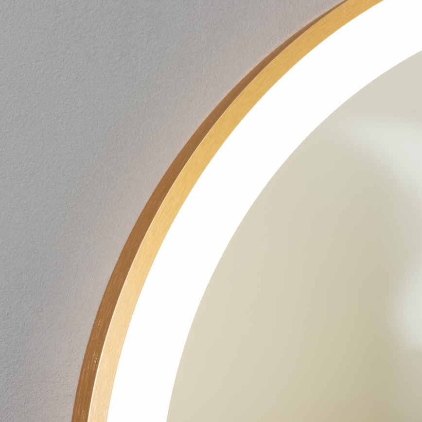 Brilagi - LED Badezimmerspiegel ERBA LED/25W/230V 50x80 cm gold IP44 CRI 90 dimmbar + CCT