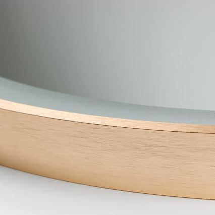 Brilagi - LED Badezimmerspiegel ERBA LED/25W/230V 50x80 cm gold IP44 CRI 90 dimmbar + CCT