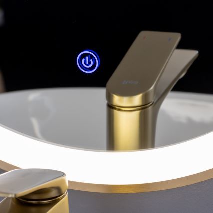 Brilagi - LED Badezimmerspiegel ERBA LED/25W/230V 50x80 cm gold IP44 CRI 90 dimmbar + CCT