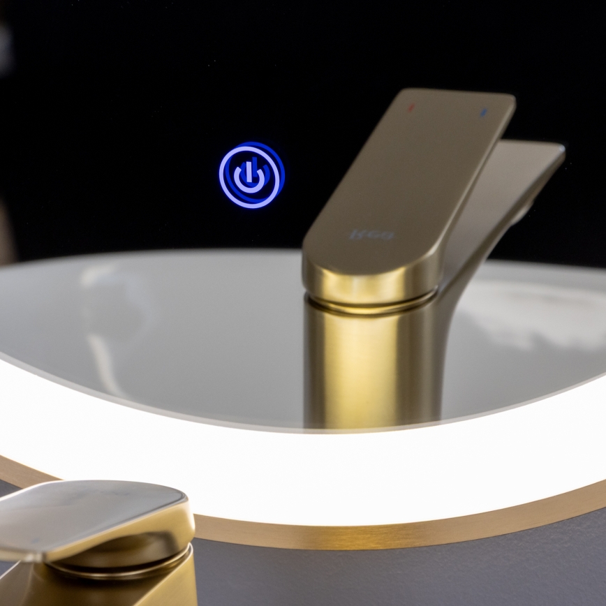 Brilagi - LED Badezimmerspiegel ERBA LED/25W/230V 50x80 cm gold IP44 CRI 90 dimmbar + CCT