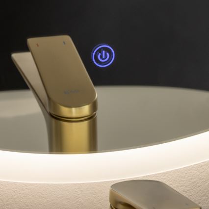 Brilagi - LED-Badezimmerspiegel CUNEO LED/25W/230V Ø 80 cm IP44 CRI 90 dimmbar + CCT