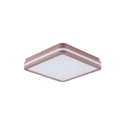 Brilagi - LED-Außen-Deckenleuchte mit Sensor BENE LED/24W/230V 26x26 cm braun IP54