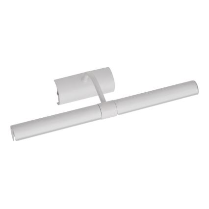 Brilagi - LED-Bilderleuchte DANAE 2xE14/4W/230V 3000K weiß