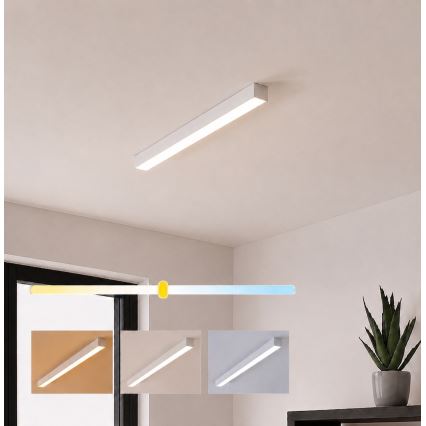 Brilagi - Aufgesetzte LED-Deckenleuchte FULLDAY LED/10/15/20W/230V 2700/4000/6000K 60 cm weiß
