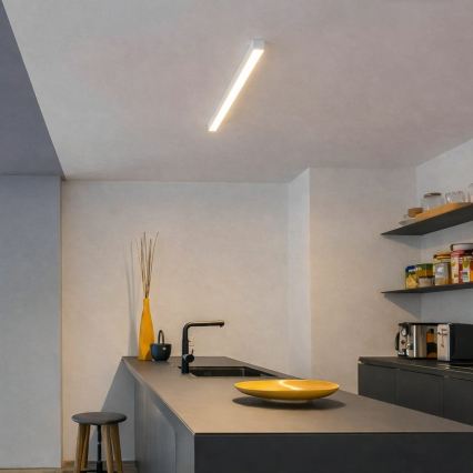 Brilagi - Aufgesetzte LED-Deckenleuchte FULLDAY LED/10/15/20W/230V 2700/4000/6000K 60 cm weiß