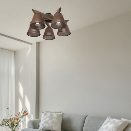 Brilagi - LED Deckenleuchte ANTHONY 5xE14/40W/230V Eiche Nussbaum/Braun