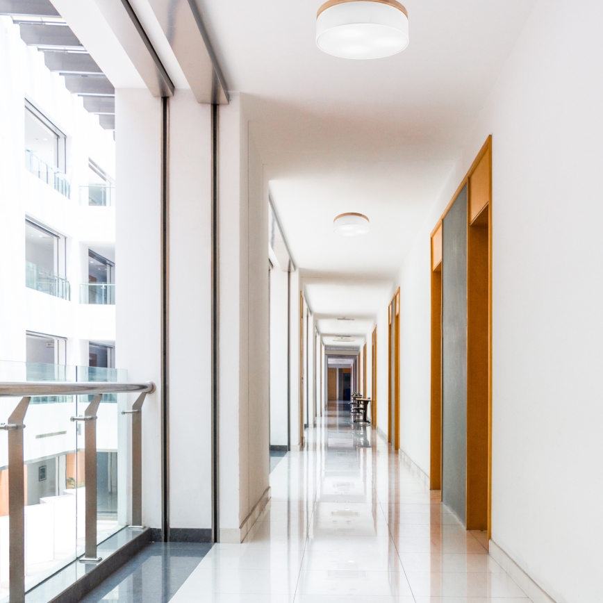 Brilagi - LED Deckenleuchte BELLADONNA 3xE27/15W/230V Ø 50 cm Weiß/Eiche