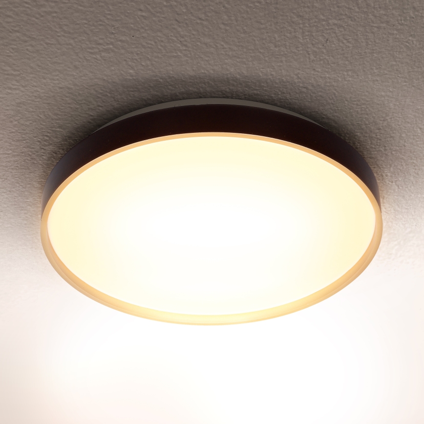Brilagi - LED-Deckenleuchte CALA LED/24W/230V