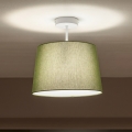 Brilagi - LED-Deckenleuchte CERIA, aufgesetzt, 1xE27/60W/230V, Ø 30 cm, weiß/grün