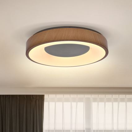 Brilagi - LED-Deckenleuchte DORIA LED/24W/230V