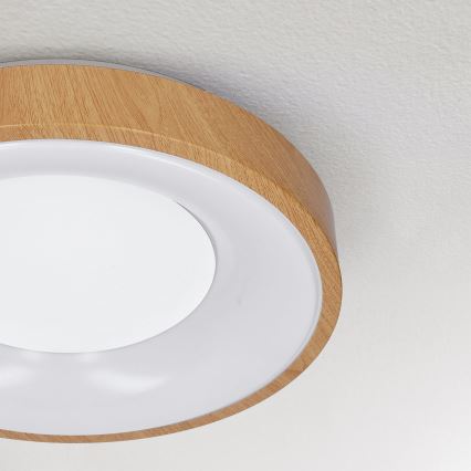 Brilagi - LED-Deckenleuchte DORIA LED/24W/230V