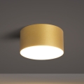 BRILAGI - LED-Deckenleuchte für Badezimmer FORIS LED/14W/230V Ø 12 cm goldfarben IP44