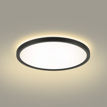 Brilagi - LED-Deckenleuchte für Badezimmer ULTRA SLIM LED/12W/230V d 22,5 cm schwarz IP54