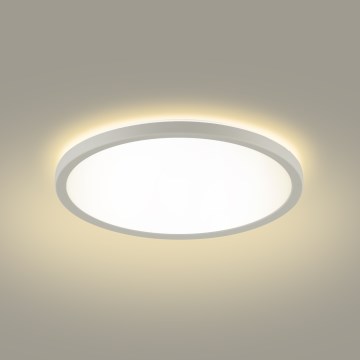 Brilagi - LED-Deckenleuchte für Badezimmer ULTRA SLIM LED/12W/230V d 22,5 cm weiß IP54