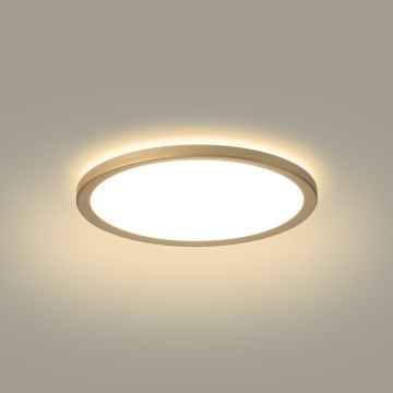 Brilagi - LED-Deckenleuchte für Badezimmer ULTRA SLIM LED/12W/230V Ø 22,5 cm goldfarben IP54