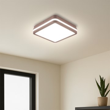 Brilagi - LED-Deckenleuchte für den Außenbereich BENE LED/18W/230V 21,5x21,5 cm braun IP54