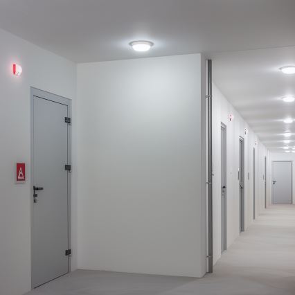 Brilagi - LED-Deckenleuchte für den Außenbereich LED/13W/230V d 17 cm IP54