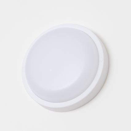 Brilagi - LED-Deckenleuchte für den Außenbereich LED/13W/230V d 17 cm IP54