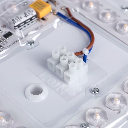 Brilagi - LED-Deckenleuchte LUCIA LED/24W/230V Ø 31 cm grün