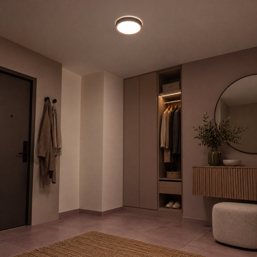 BRILAGI - LED-Deckenleuchte NATURA LED/12W/230V 4000K Ø 26,3 cm
