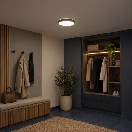 BRILAGI - LED-Deckenleuchte NATURA LED/20W/230V 4000K Ø 33,7 cm