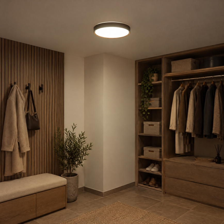 BRILAGI - LED-Deckenleuchte NATURA LED/24W/230V 4000K Ø 38,3 cm