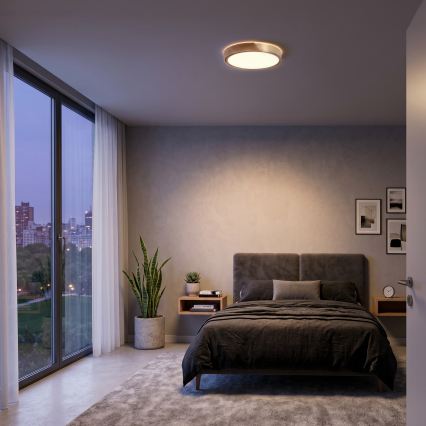 BRILAGI - LED Deckenleuchte PILANA LED/24W/230V Eiche/Gold Ø 30 cm