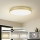 Brilagi - LED-Deckenleuchte POOL LED/128W/230V 3000/4000/6000K Ø 100 cm goldfarben