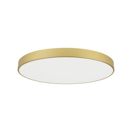 Brilagi - LED-Deckenleuchte POOL LED/128W/230V 3000/4000/6000K Ø 100 cm goldfarben