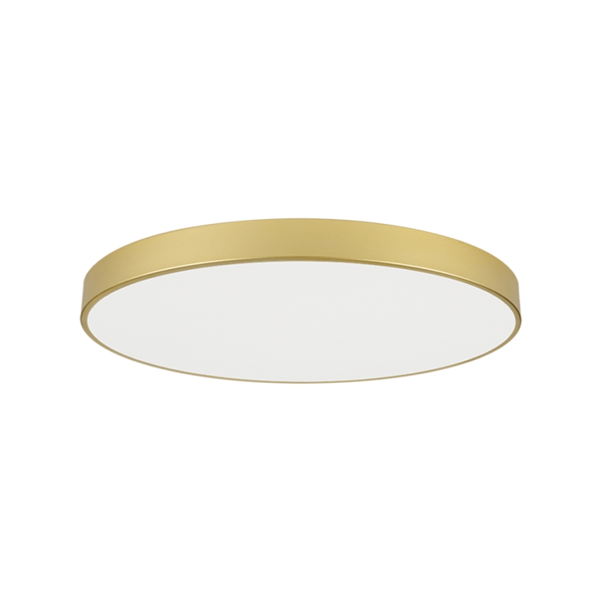 Brilagi - LED-Deckenleuchte POOL LED/128W/230V 3000/4000/6000K Ø 100 cm goldfarben