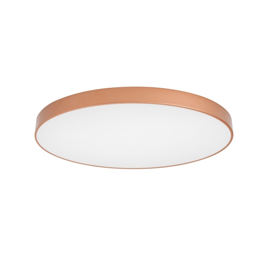 BRILAGI - LED Deckenleuchte POOL LED/128W/230V 3000/4000/6000K Ø 100 cm kupferfarben