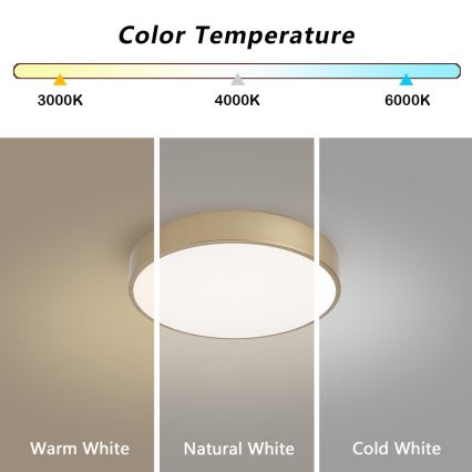 BRILAGI - LED-Deckenleuchte POOL LED/36W/230V 3000/4000/6000K Ø 30 cm goldfarben