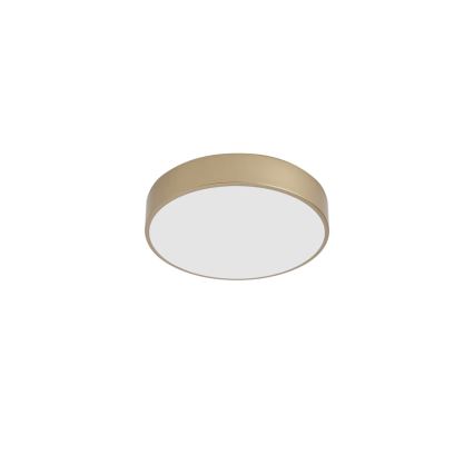 BRILAGI - LED-Deckenleuchte POOL LED/36W/230V 3000/4000/6000K Ø 30 cm goldfarben