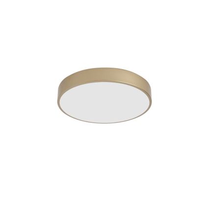 BRILAGI - LED-Deckenleuchte POOL LED/48W/230V 3000/4000/6000K, Durchmesser 40 cm, goldfarben
