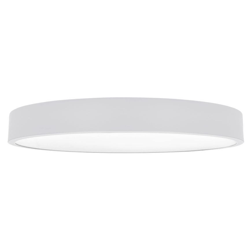 Brilagi - LED-Deckenleuchte POOL LED/60W/230V 3000/4000/6000K 50 cm weiß