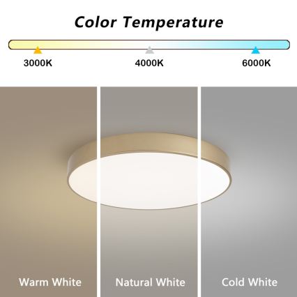 BRILAGI - LED-Deckenleuchte POOL LED/60W/230V 3000/4000/6000K Ø 50 cm goldfarben