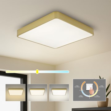 BRILAGI - LED Deckenleuchte POOL SQUARE LED/36W/230V 3000/4000/6000K 40x40 cm goldfarben