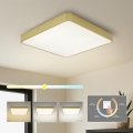 BRILAGI - LED-Deckenleuchte POOL SQUARE LED/48W/230V 3000/4000/6000K 50x50 cm goldfarben