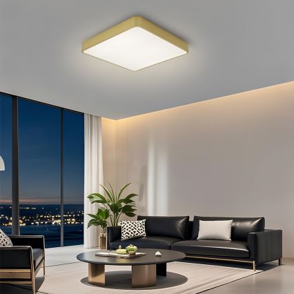 BRILAGI - LED-Deckenleuchte POOL SQUARE LED/48W/230V 3000/4000/6000K 50x50 cm goldfarben
