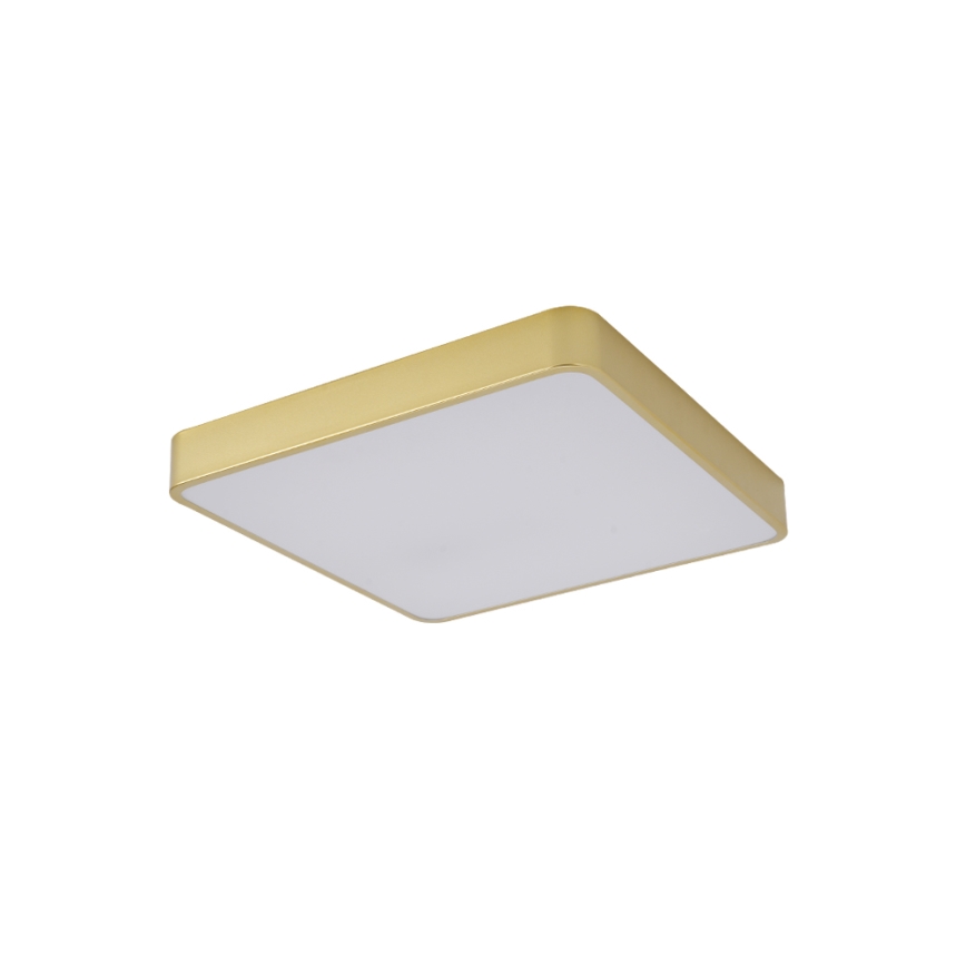 BRILAGI - LED-Deckenleuchte POOL SQUARE LED/48W/230V 3000/4000/6000K 50x50 cm goldfarben