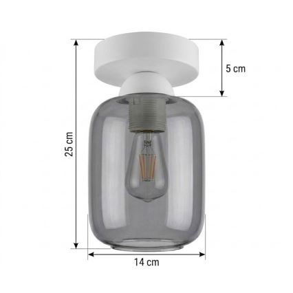 BRILAGI - LED-Deckenleuchte RETRO GLASS 1xE27/60W/230V Ø 14 cm weiß/rauchgrau